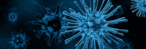 Click here to find out how the Coronavirus is impacting our services